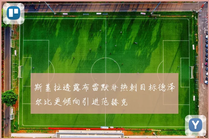 斯基拉透露布雷默非热刺目标德泽尔比更倾向引进范赫克
