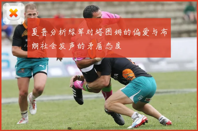 夏普分析绿军对塔图姆的偏爱与布朗社会发声的矛盾态度