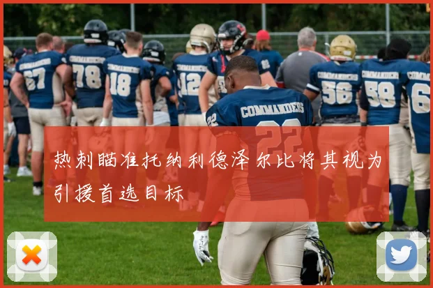 热刺瞄准托纳利德泽尔比将其视为引援首选目标